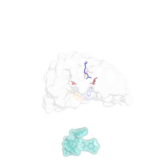 Simulaite molecular docking animation: chebulinic acid approaching the MGAM enzyme binding pocket