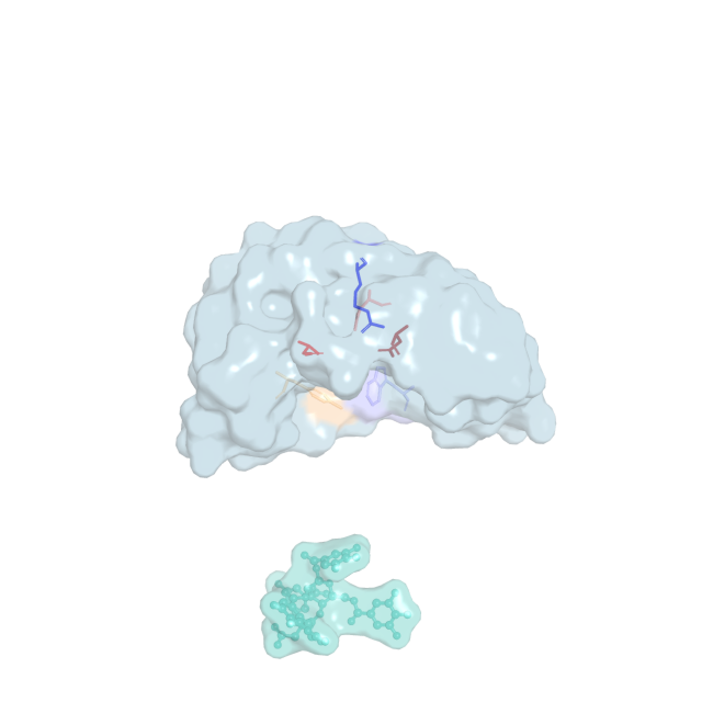 Simulaite molecular docking animation: chebulinic acid approaching the MGAM enzyme binding pocket